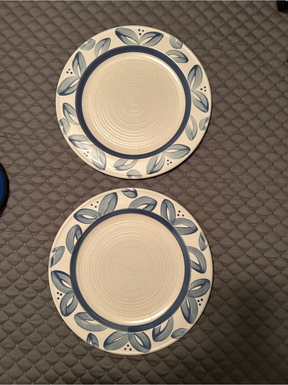 Pfaltzgraff Stoneware Villa Flora 11” Dinner Plates - Set of 2